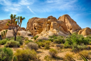 USA - OUEST AMERICAIN - L&eacute;gendes de l'Ouest : parcs, villes et grands espaces p.200-201