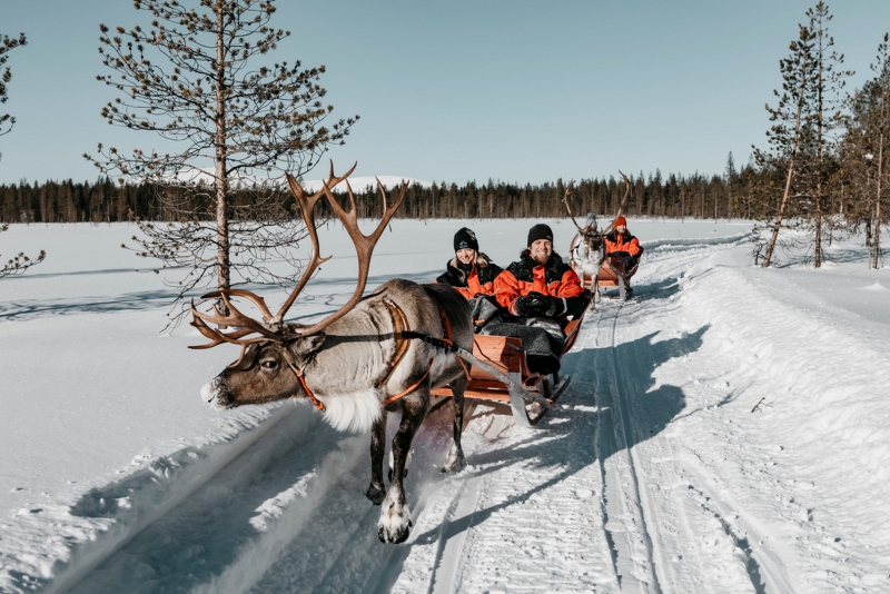 LAPONIE/FINLANDE - Magie Boréale