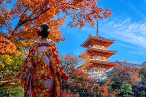 JAPON - Au pays du soleil levant - p.174-175