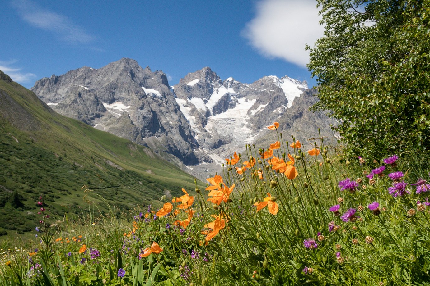 HAUTES-ALPES - MONTGEN&Egrave;VRE - La montagne franco-italienne p.72-73